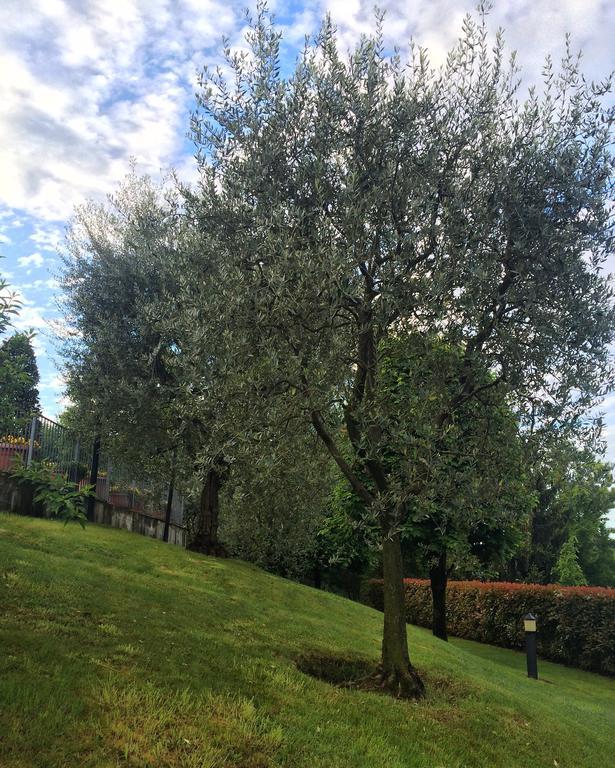 Ostello Di Bergamo Torre Boldone ภายนอก รูปภาพ